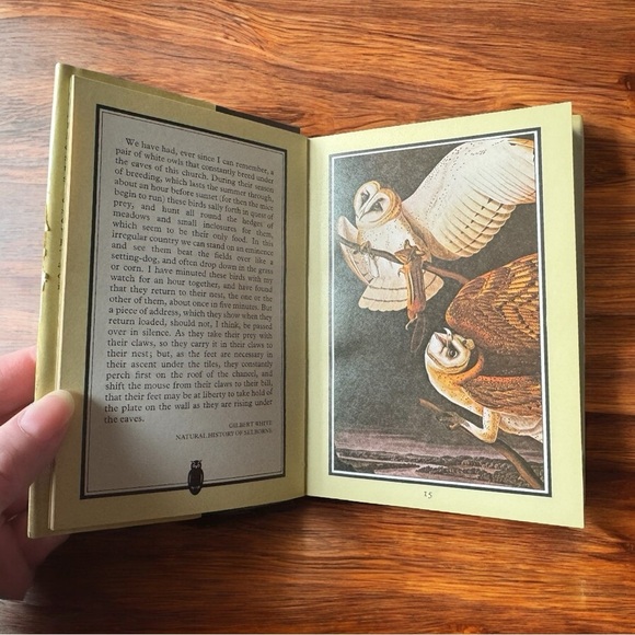 VINTAGE Owls Hardcover Book - 1982 Edition w/ Dust Jacket + Forgotten Bookmark - Picture 4 of 9